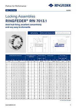 Tech Paper Locking Assemblies RINGFEDER® RfN 7013.1
